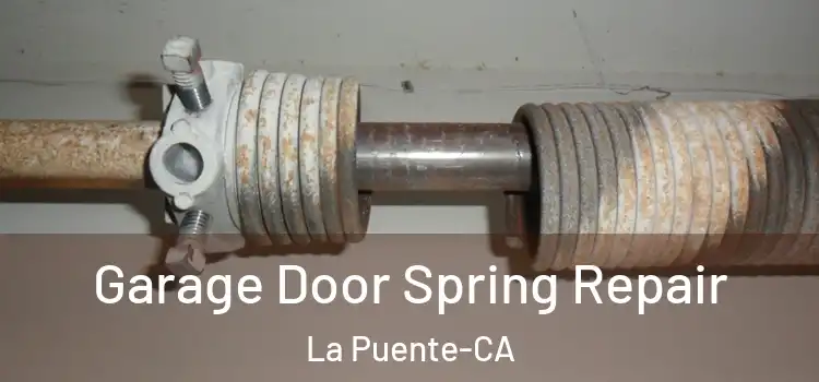 Garage Door Spring Repair La Puente-CA